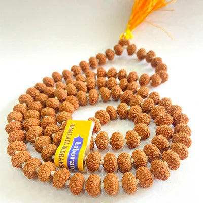 Natural 5 Mukhi/Face Rudraksha mala