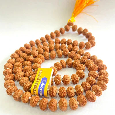 Rudraksha