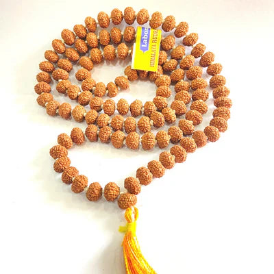 Natural 5 Mukhi/Face Rudraksha mala